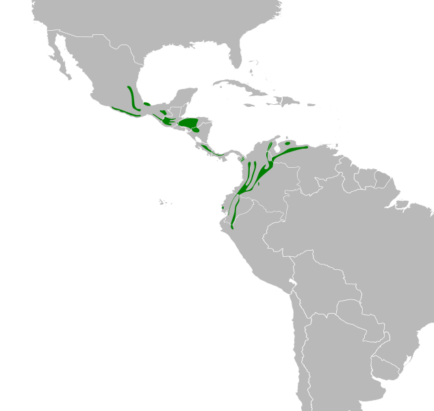 File:Arremon brunneinucha map.svg