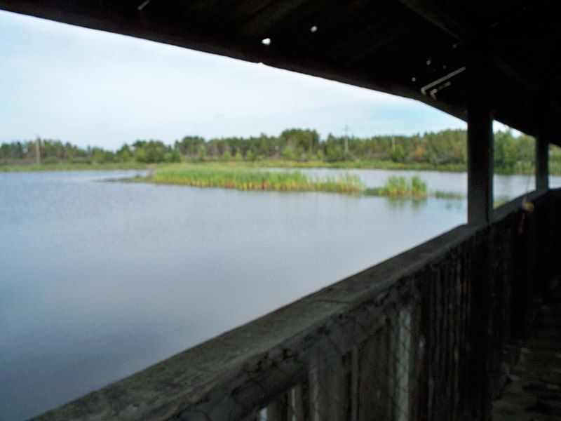 File:Biggar Trout Pond.jpeg