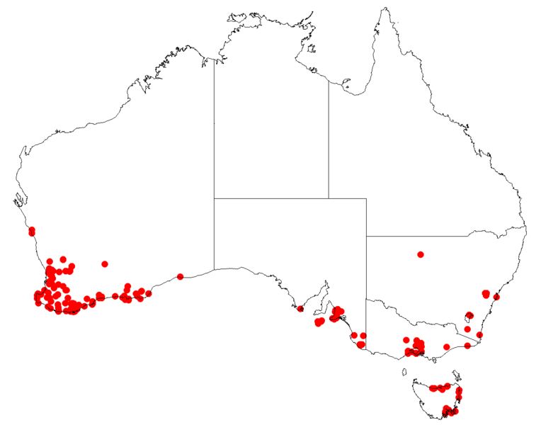 File:BillardieraheterophyllaDistributionMap9.png