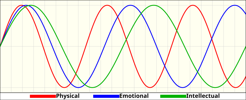 File:Biorhythm-EN.svg