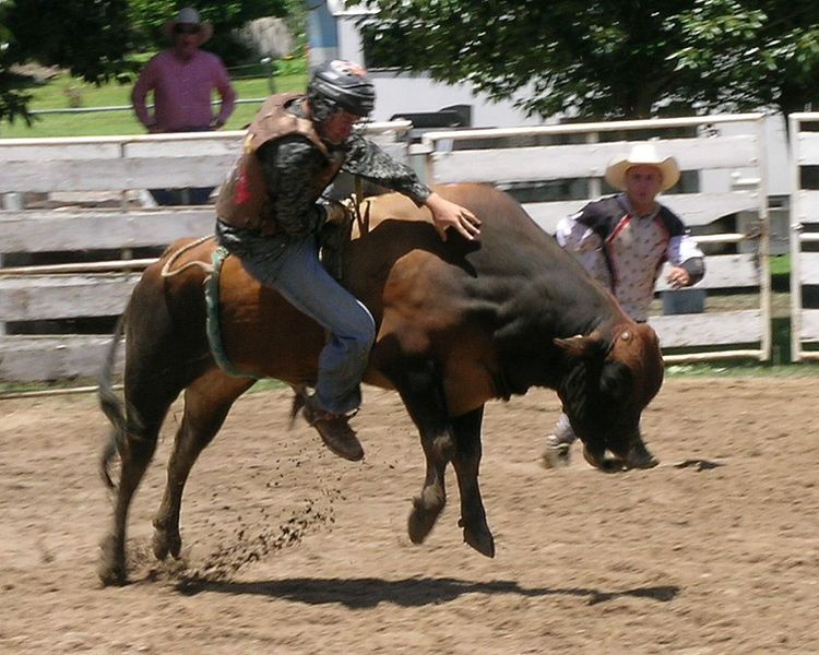 File:Bull riding.JPG