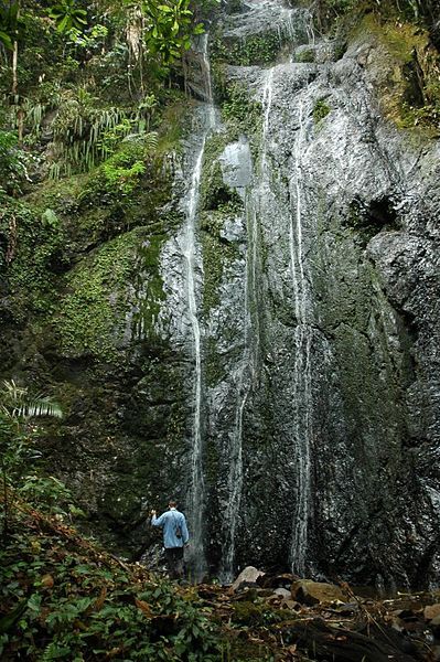 File:ChiangDao Waterfall.JPG