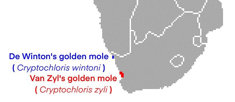 File:Cryptochloris Range.jpg