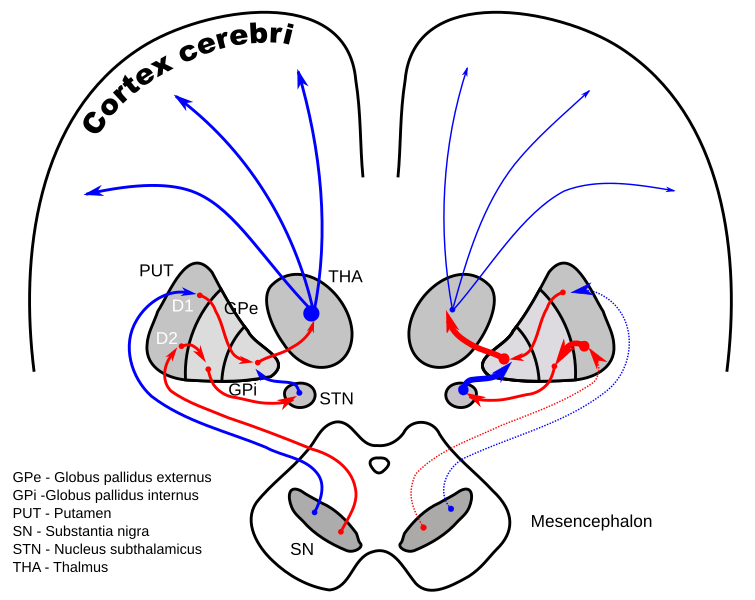 File:DA-loops in PD.svg