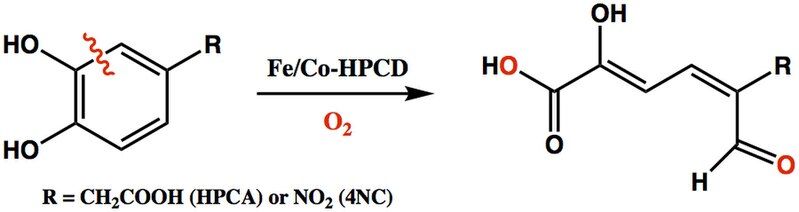 File:Fe-Co-HPCD Reaction Scheme.jpg