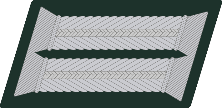 File:Generalstaboffiziere Litzen Field.svg