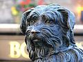 Greyfriars Bobby