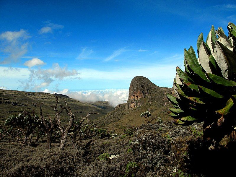 File:Mount Elgon-2.jpg