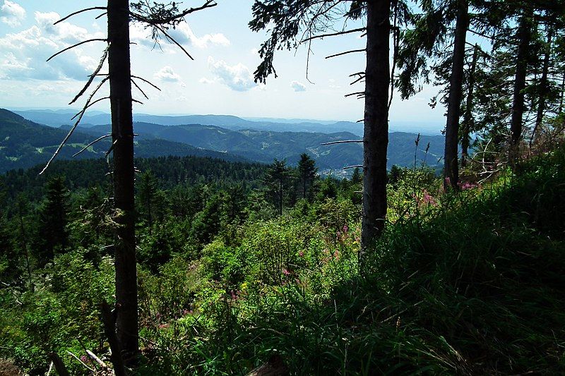 File:Naturpark Nordschwarzwald.jpg