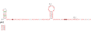 RAGATH-17 Secondary structure taken from the Rfam database. Family RF03095