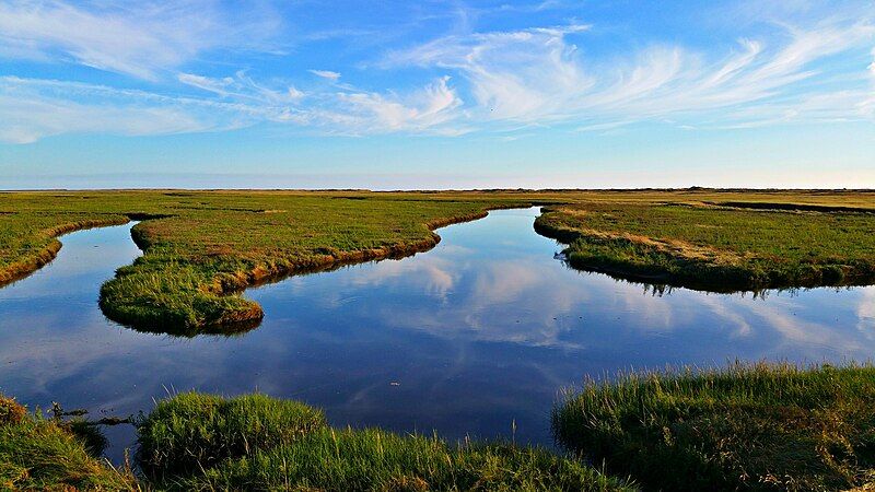 File:Schleswig-Holsteinisches Wattenmeer.jpg