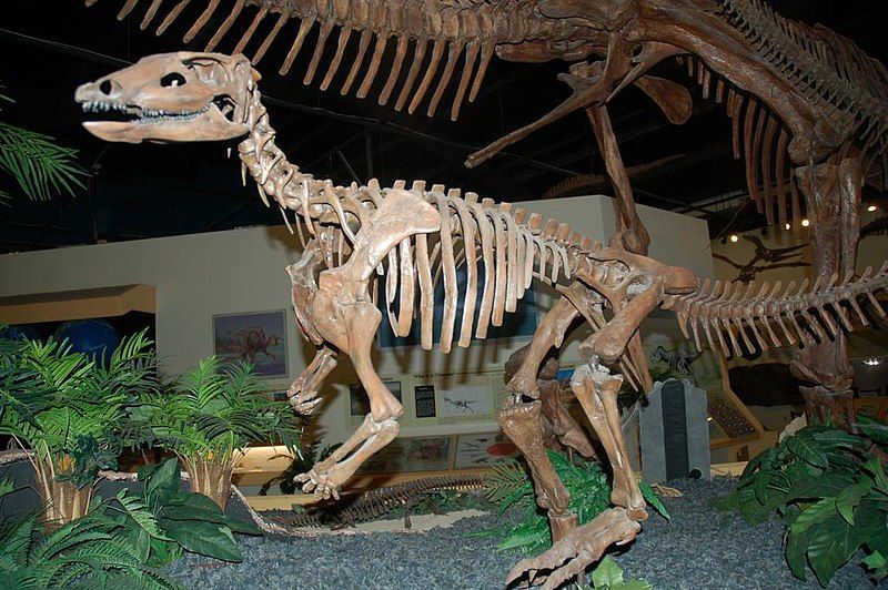 File:Thescelosaurus csontváz.jpg