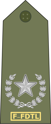 File:10.TLDF-MAJ.svg