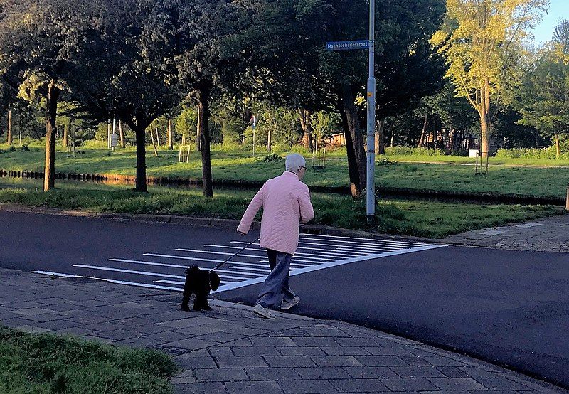 File:Dog walking woman.jpg