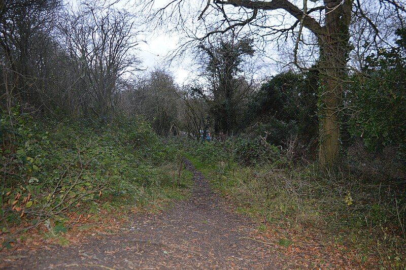 File:Landpark Wood 3.JPG