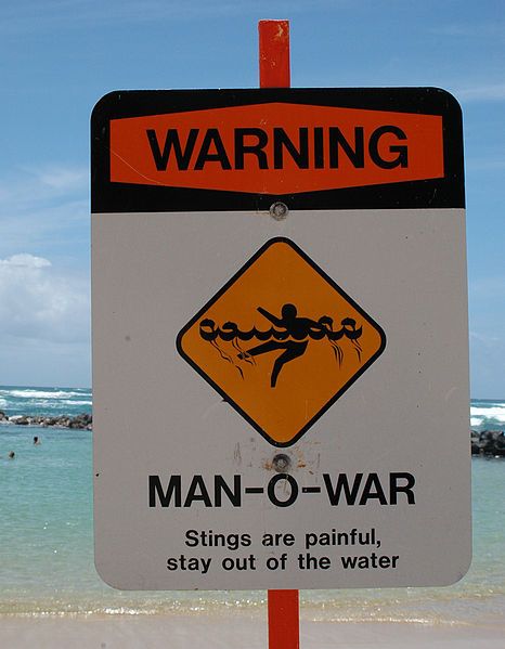 File:Man-O-War.jpg