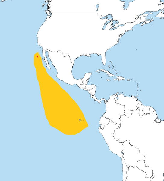 File:Oceanodroma cheimomnestes dist.png