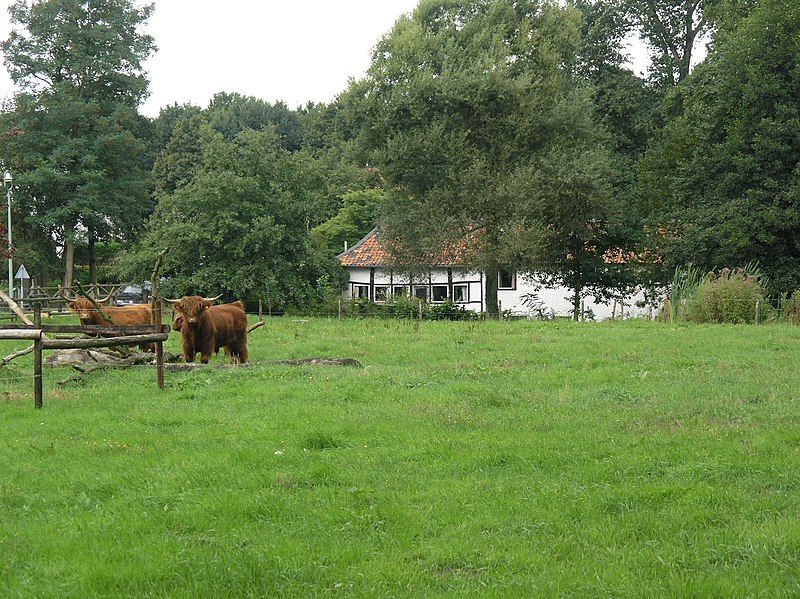 File:Reuver Ronkensteijn 5898.JPG