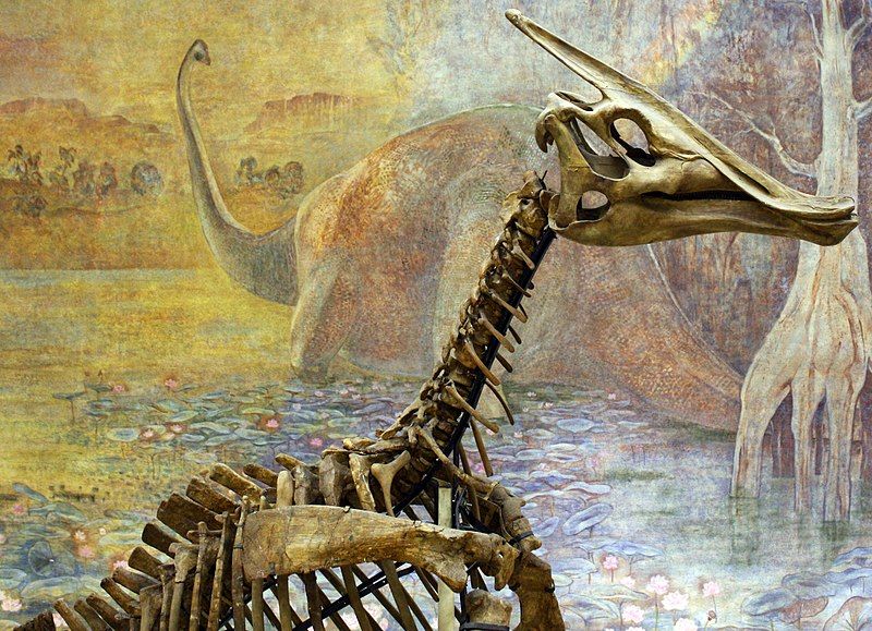 File:Saurolophus (1).jpg