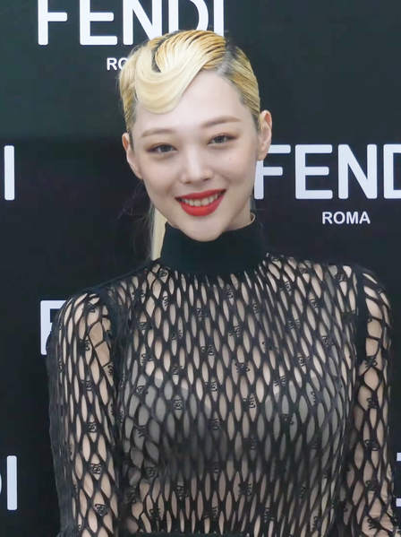 File:Sulli-2019.png