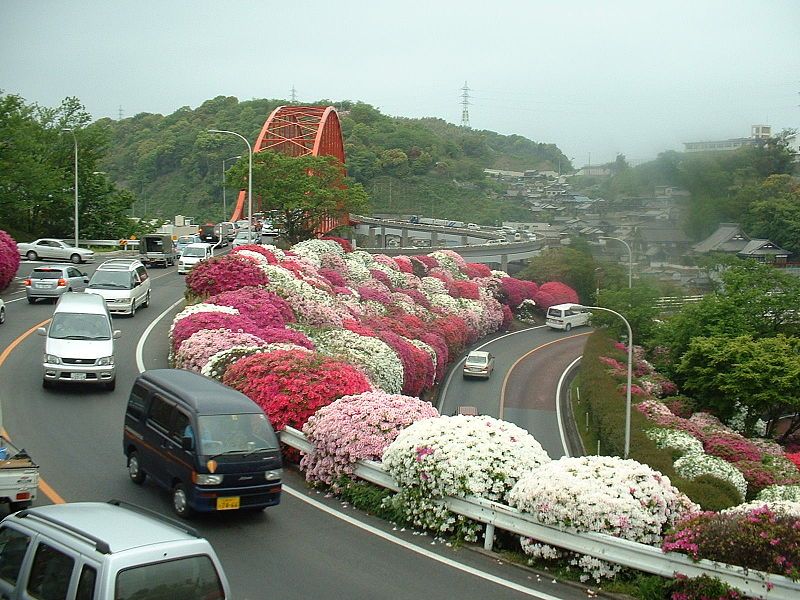 File:音戸大橋のツツジ.JPG