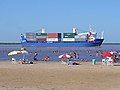 Container ship, traveling downstream by the city of Ramallo, Argentina