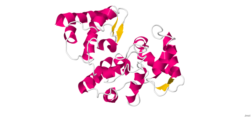 File:Calbindin2G9B.pdb.png