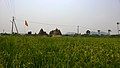 Chaya Someswara Temple (wide angle)