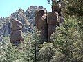 Trees and hoodoos, Chiricahua National Monument