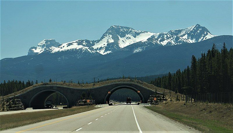 File:Copper Mountain (Alberta).jpg