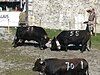 Foire du Valais in Martigny, Switzerland