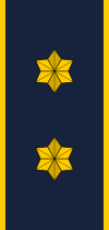 File:Denmark-Firefighter-Beredskabsmester.svg