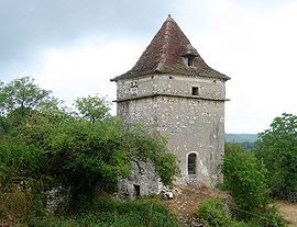 The pigeon loft