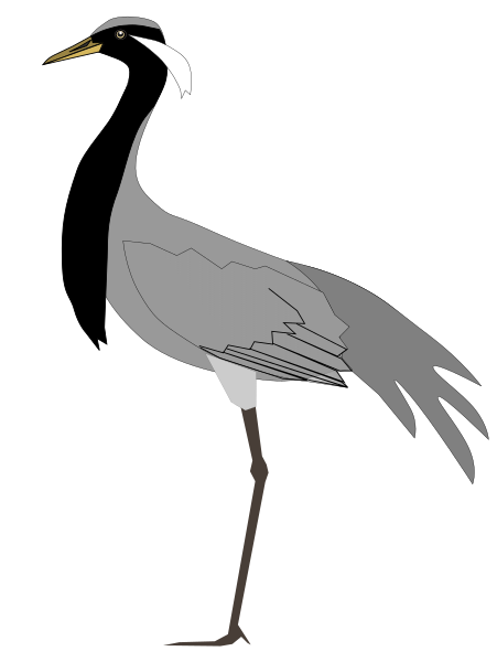 File:Grus virgo.svg