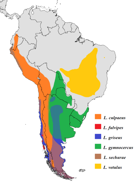 File:Lycalopex range.png