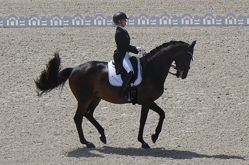 File:OG2024-dressage-Jessica-von-Bredow-Werndl01.jpg