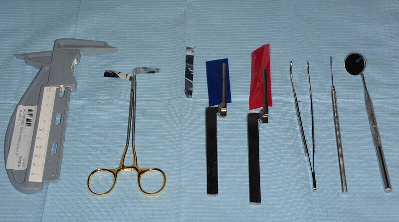 File:Occlusal Examination Instruments.jpg