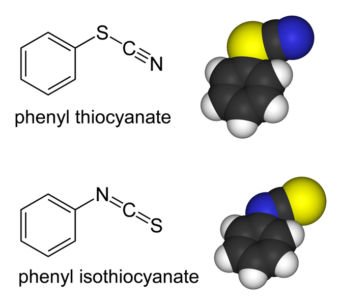 File:PhSCN-PhNCS-comparison.png