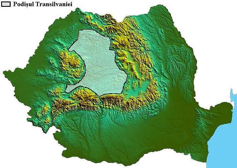 File:Podisul Transilvaniei.jpg