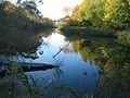 Queanbeyan River near footbridge