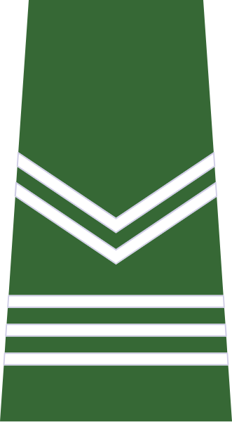 File:ROTU-Army-Sr-Cpl.svg