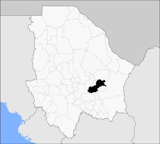 File:Saucillo en Chihuahua.svg