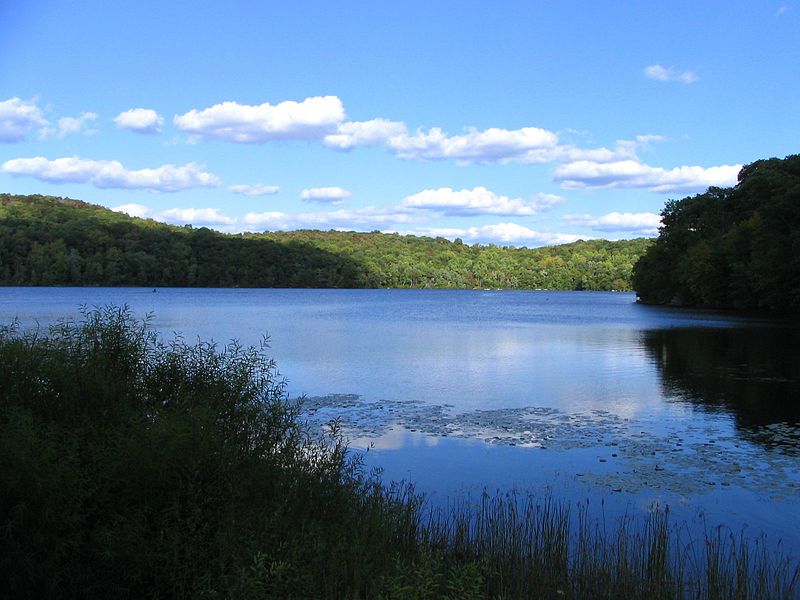 File:SheperdLake.jpg