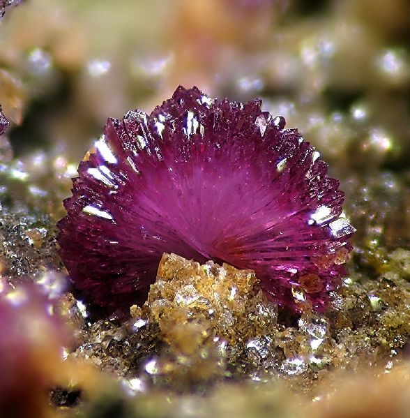 File:Strengite-114917.jpg