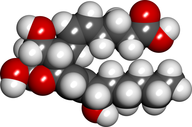 File:ThromboxaneB2 spacefill.png