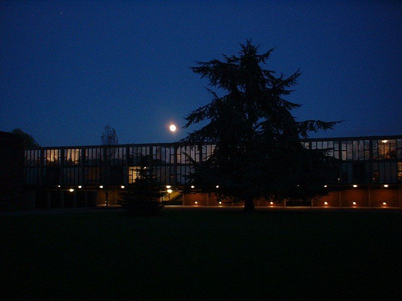 File:Catzmoonlight2.JPG