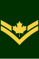 Early post unification Corporal insignia with maple leaf.