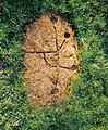 Petroglyph at Dalgarven Mill, Ayrshire, Scotland.