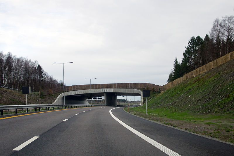 File:E18TassebekkViltlokk2.jpg