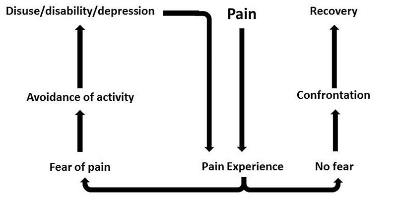 File:Fear-avoidance model.jpg